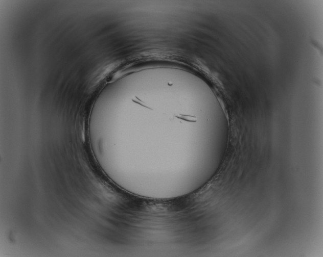 X0000098100062200804251414