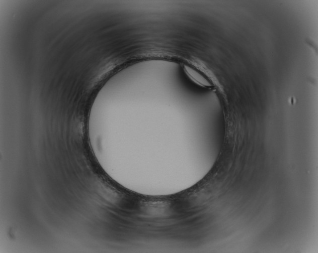 X0000098100063200804251414