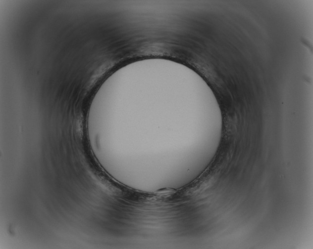 X0000098100064200804251414