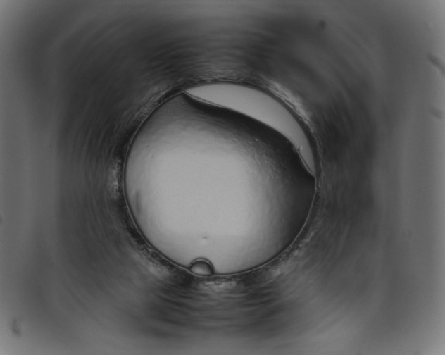 X0000098100065200804251414