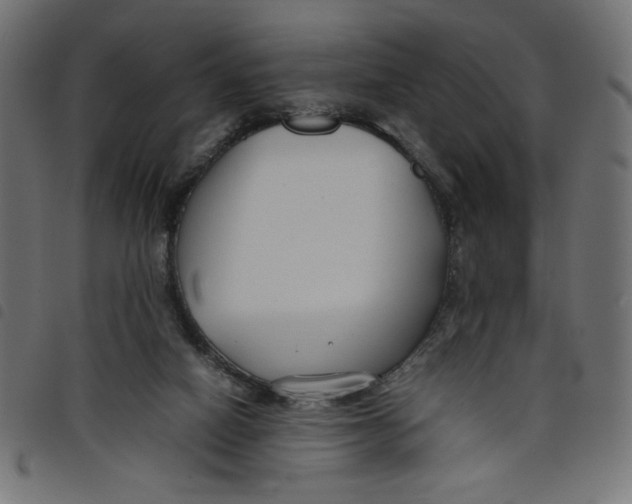 X0000098100066200804251414