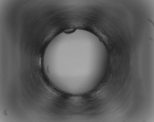 X0000098100067200804251414