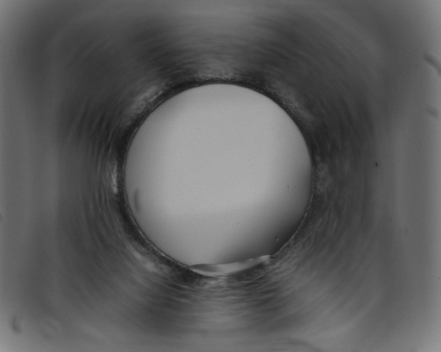 X0000098100068200804251414