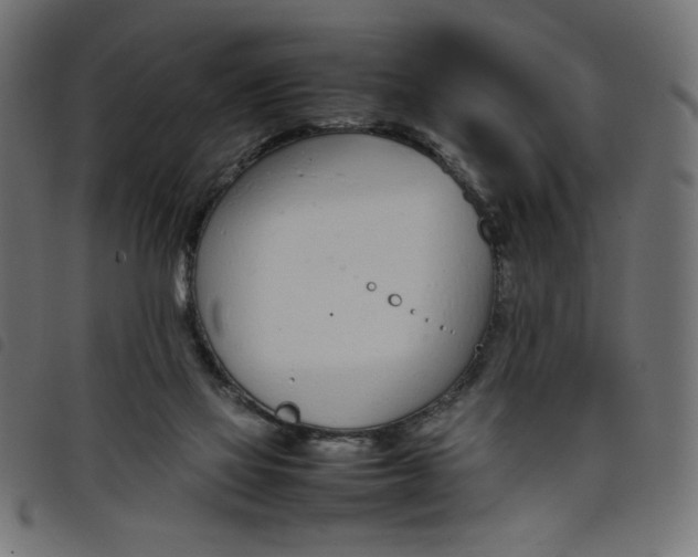 X0000098100069200804251414