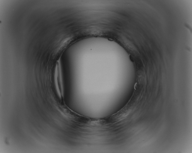 X0000098100072200804251414