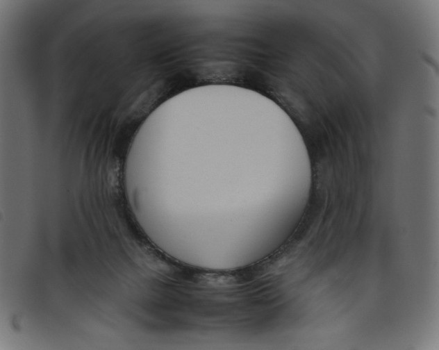 X0000098100073200804251414