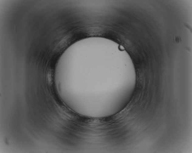 X0000098100074200804251414