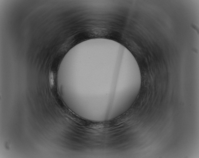 X0000098100075200804251414