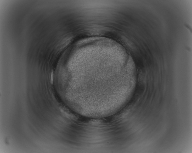 X0000098100076200804251414