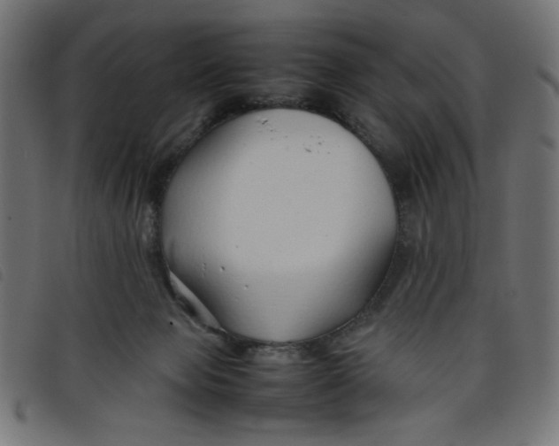 X0000098100077200804251414