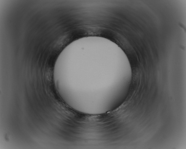 X0000098100078200804251414