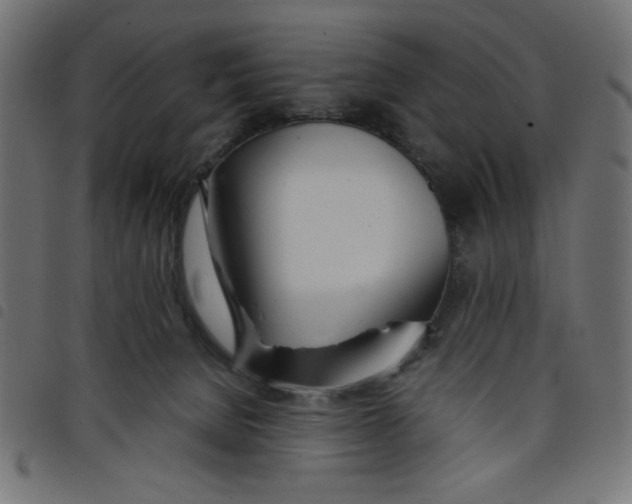 X0000098100080200804251414