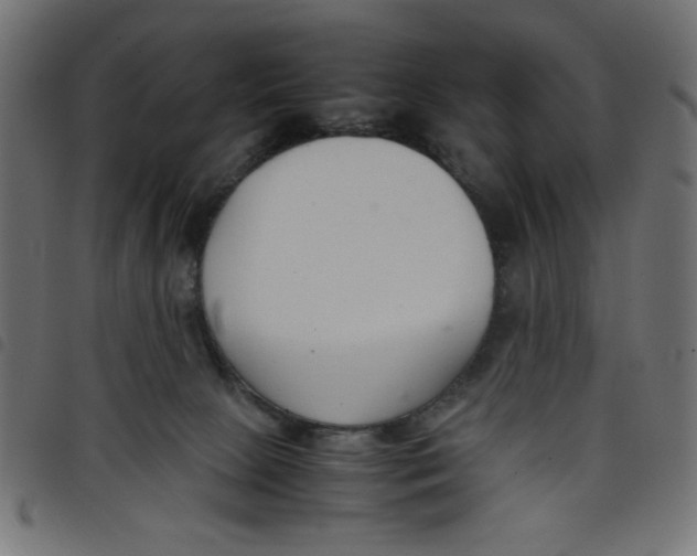 X0000098100081200804251414