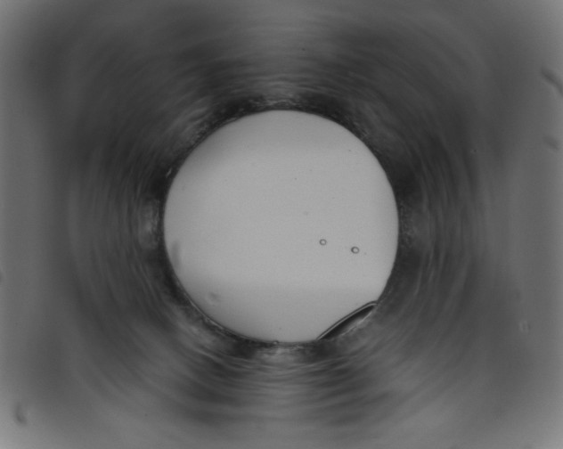 X0000098100082200804251414