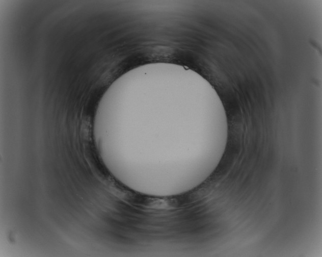 X0000098100083200804251414