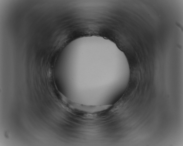 X0000098100084200804251414