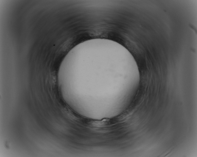 X0000098100085200804251414