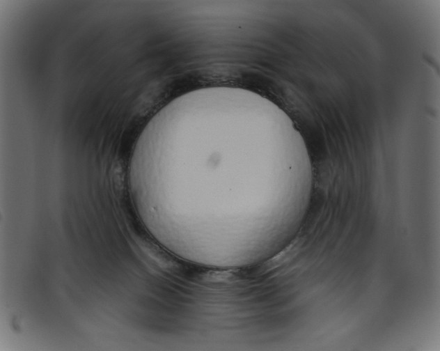 X0000098100086200804251414