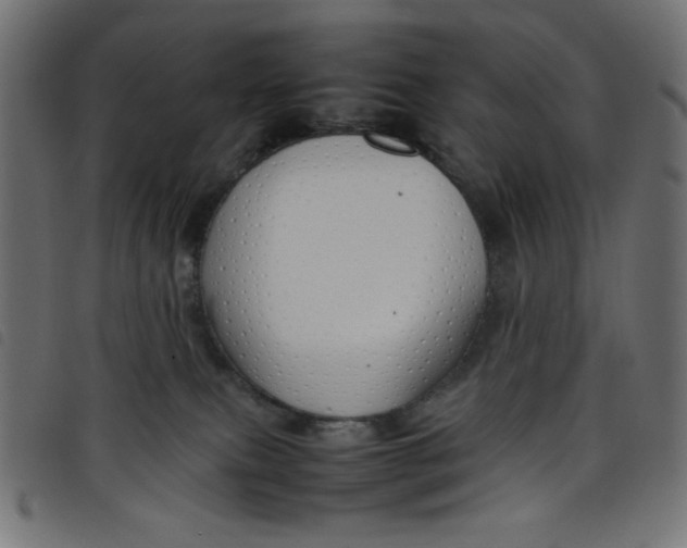 X0000098100087200804251414