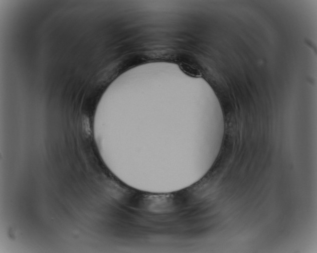 X0000098100089200804251414
