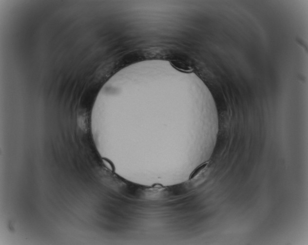 X0000098100090200804251414