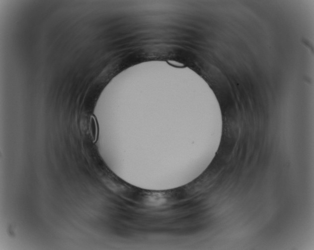 X0000098100091200804251415