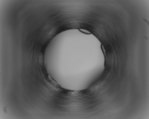 X0000098100092200804251415
