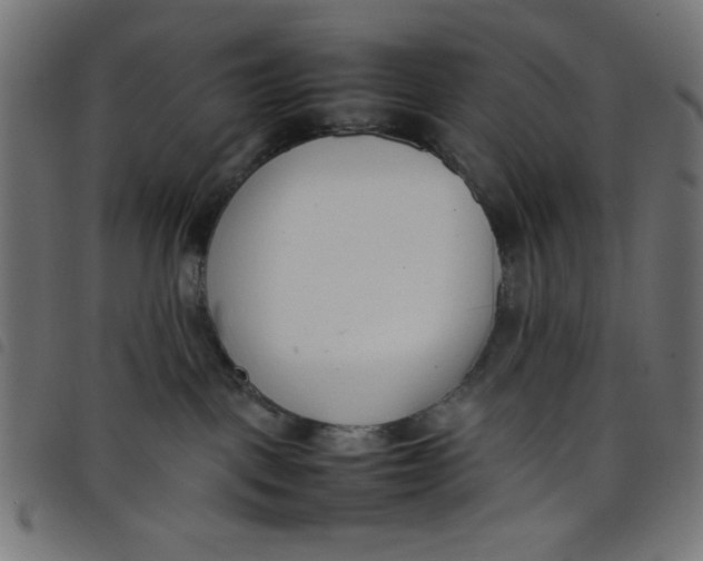 X0000098100093200804251415