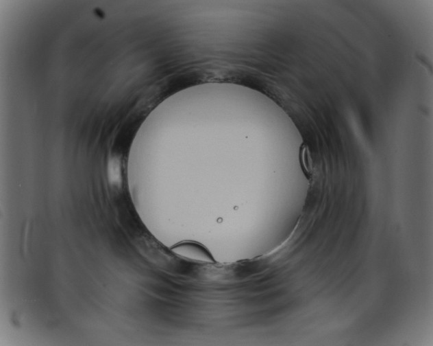 X0000098100094200804251415