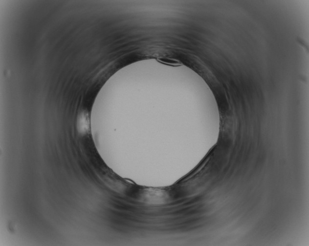 X0000098100095200804251415