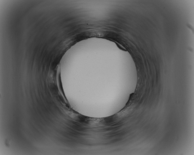 X0000098100096200804251415