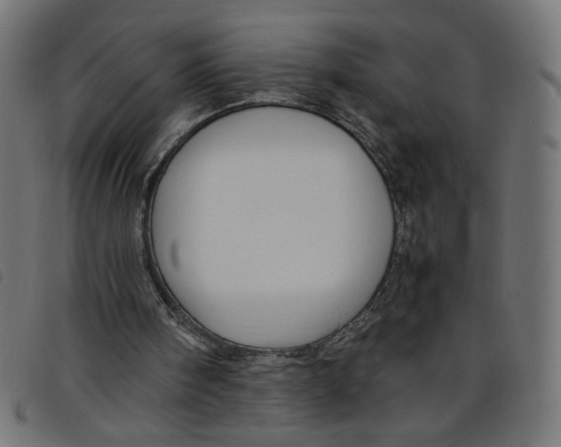 X0000098100098200804251414