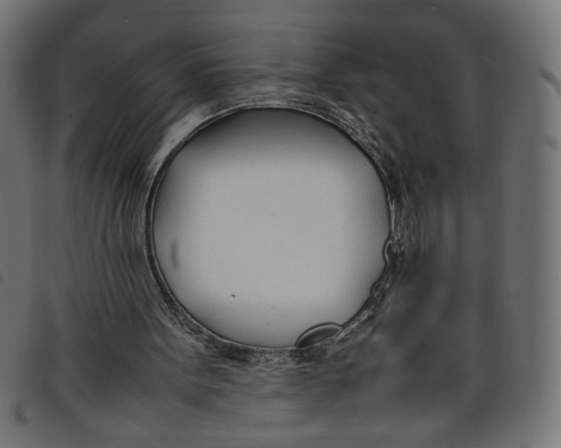 X0000098100099200804251414