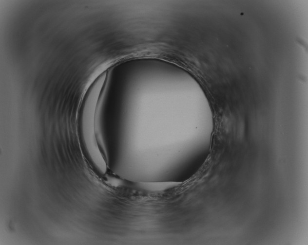 X0000098100100200804251414