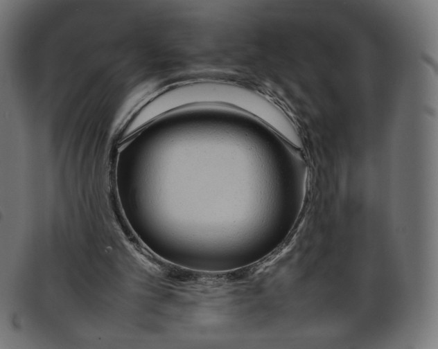 X0000098100101200804251414