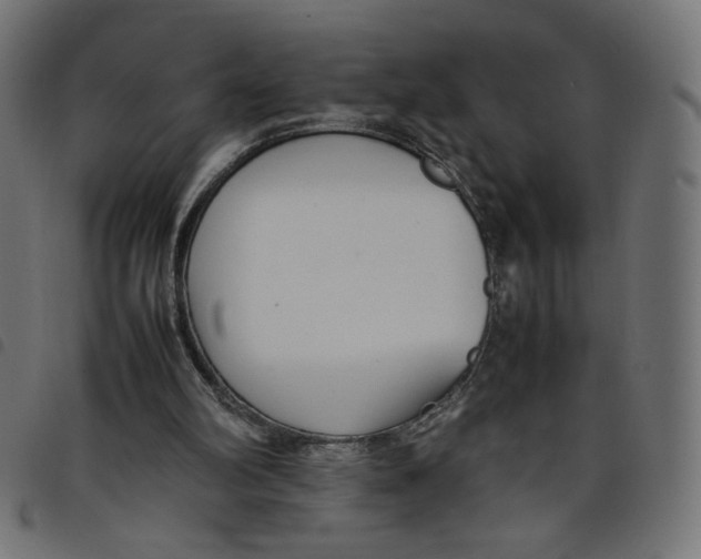 X0000098100102200804251414