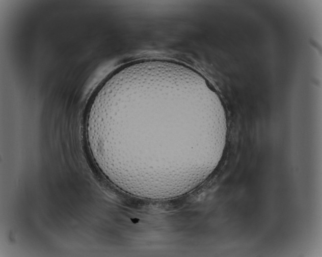 X0000098100103200804251414