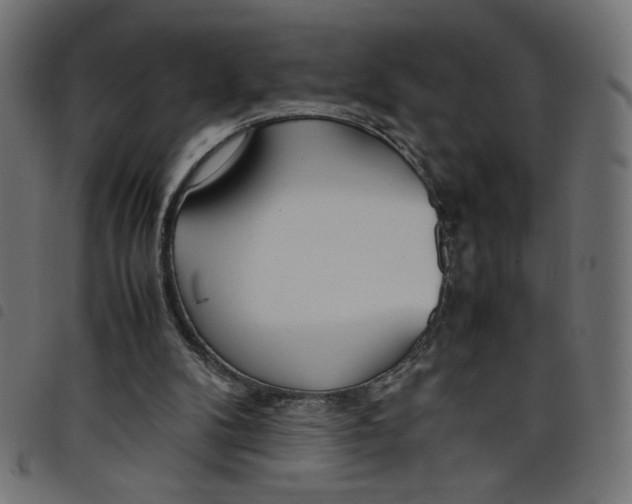 X0000098100104200804251414