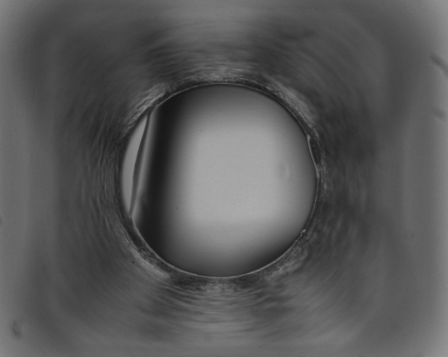 X0000098100105200804251414