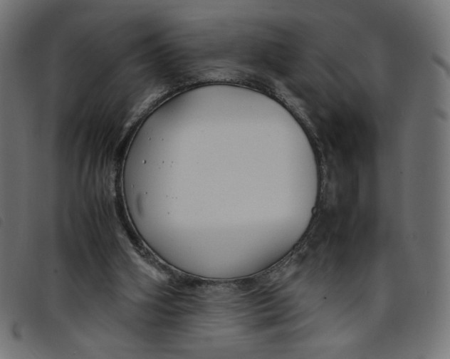 X0000098100106200804251414