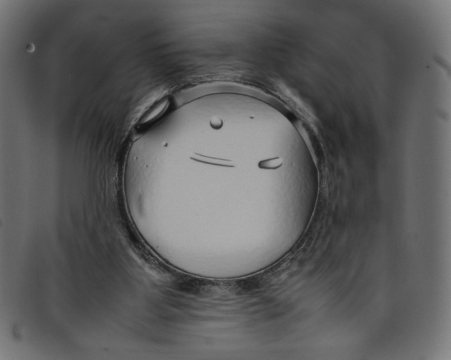 X0000098100107200804251414