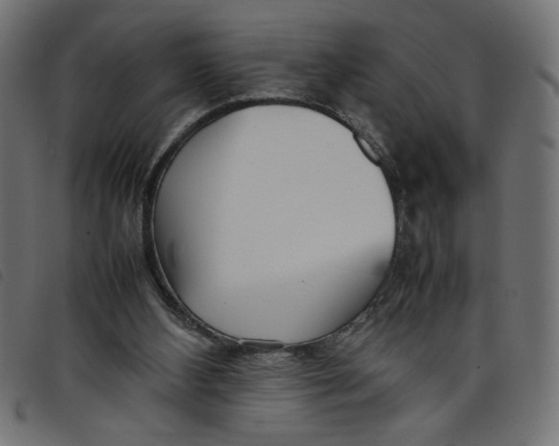 X0000098100108200804251414