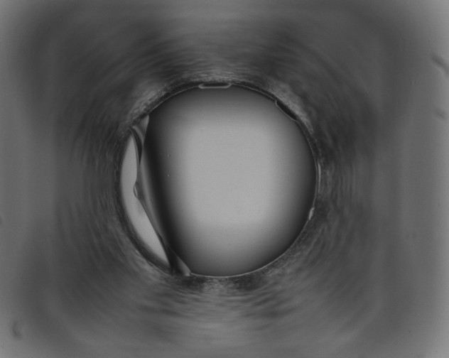 X0000098100109200804251414