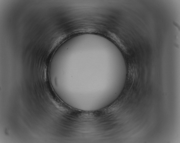 X0000098100110200804251414