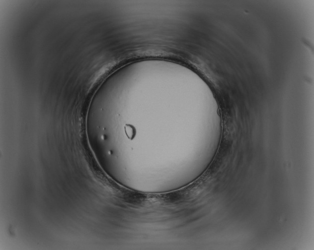X0000098100111200804251414