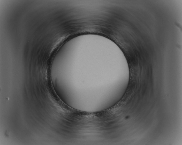 X0000098100112200804251414