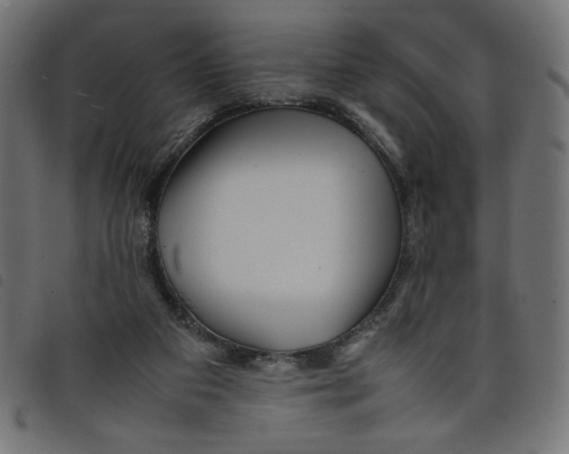 X0000098100113200804251414