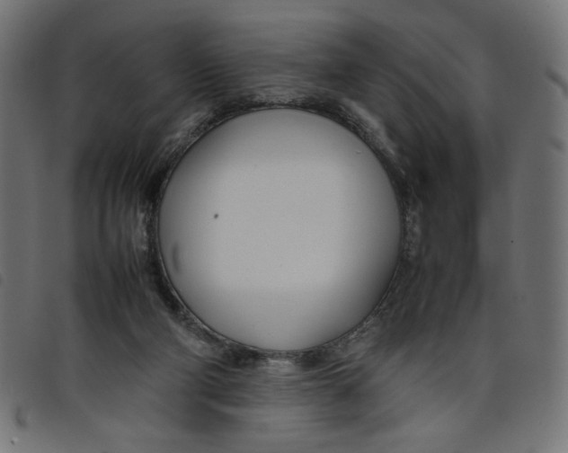 X0000098100114200804251414