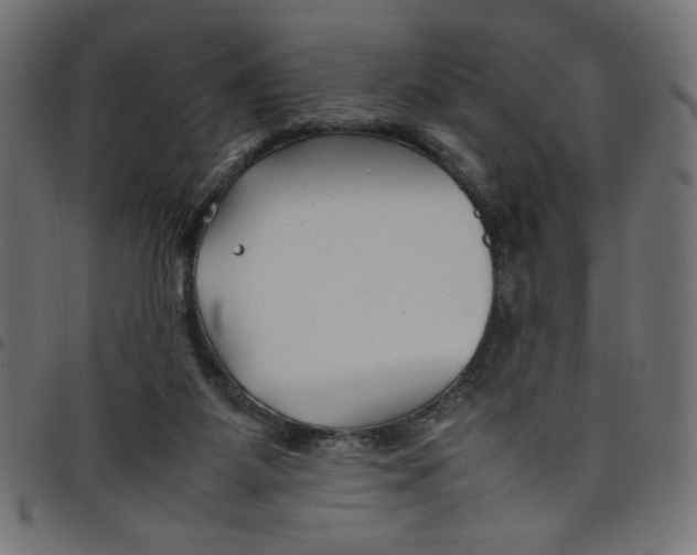 X0000098100115200804251414