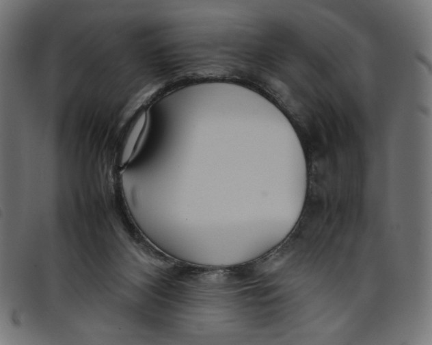 X0000098100116200804251414